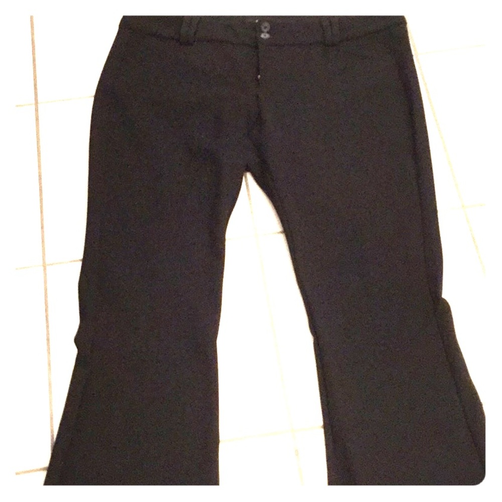 Torrid Ponte Trouser